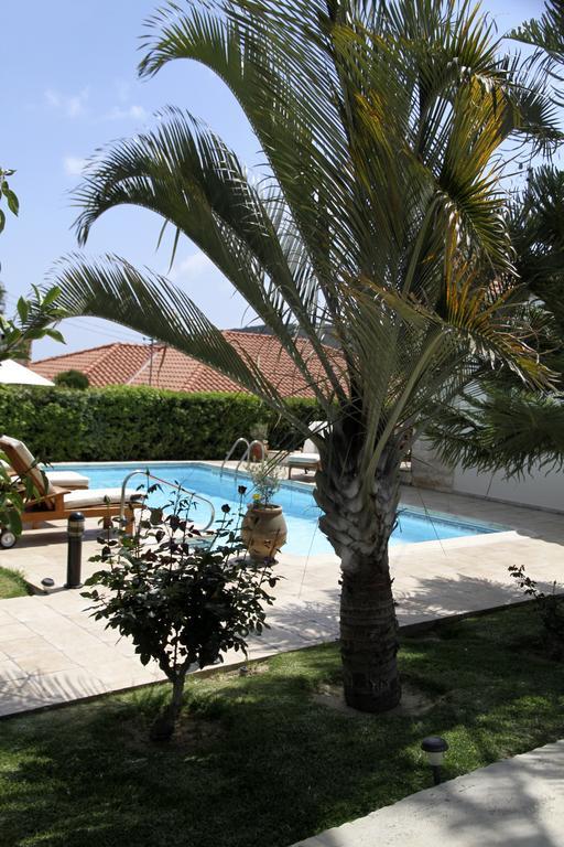 Eve Pissouri Veriko Villa 객실 사진